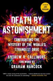 Andrew R Gallimore: Death by Astonishment