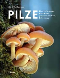 Martina Wiese, Coralie Wink, Jorunn Wissmann, Britt A. Bunyard: Pilze