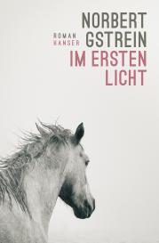 Norbert Gstrein: Im ersten Licht