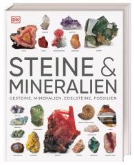 Karin Koch, DK Verlag, Ronald L. Bonewitz, Stephan Matthiesen: Steine & Mineralien