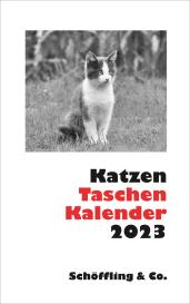 Julia Bachstein: Katzen Taschenkalender 2023