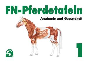 FN-Pferdetafeln. Mappe 1. Anatomie und Gesundheit 