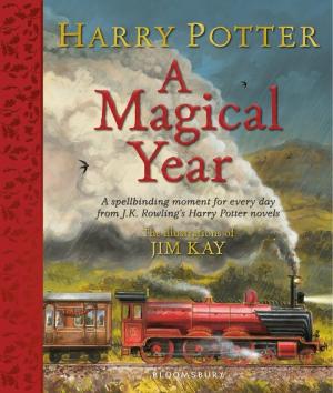 Jim Kay, J. K. Rowling: Harry Potter - A Magical Year 