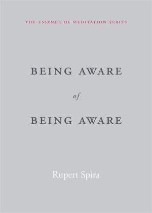 Rupert Spira: Being Aware of Being Aware 