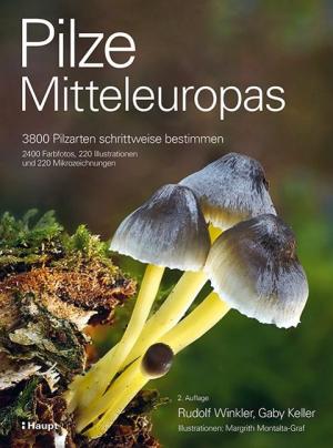 Gaby Keller, Rudolf Winkler, Margrith Montalta-Graf: Pilze Mitteleuropas 