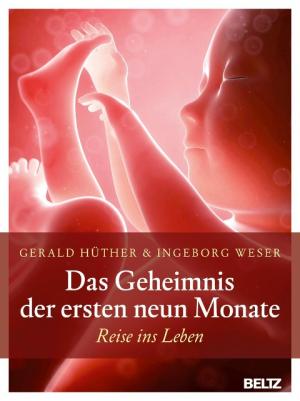 Gerald Hüther, Ingeborg Weser: Das Geheimnis der ersten neun Monate 
