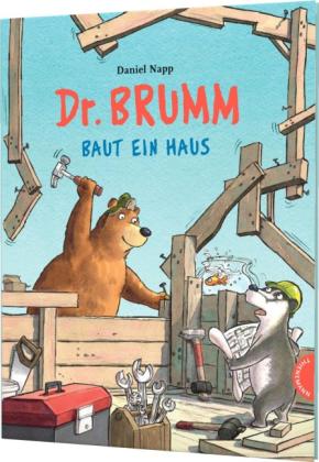 Daniel Napp: Dr. Brumm: Dr. Brumm baut ein Haus 