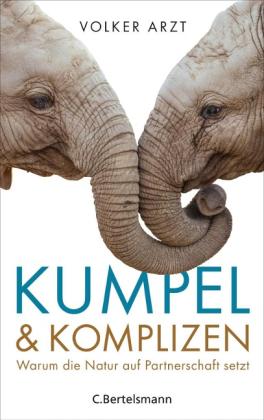 Volker Arzt: Kumpel und Komplizen 