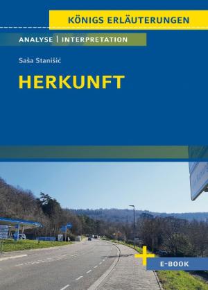Sasa Stanisic: Herkunft von Saša Stanišić - Textanalyse und Interpretation 