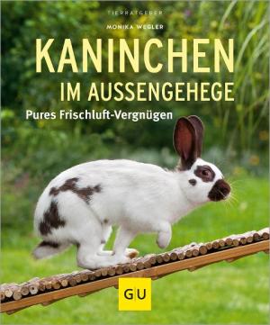 Monika Wegler: Kaninchen im Außengehege 