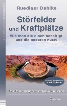 Ruediger Dahlke: Störfelder und Kraftplätze 