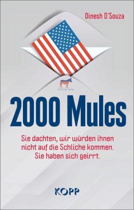 Dinesh D'Souza: 2000 Mules 