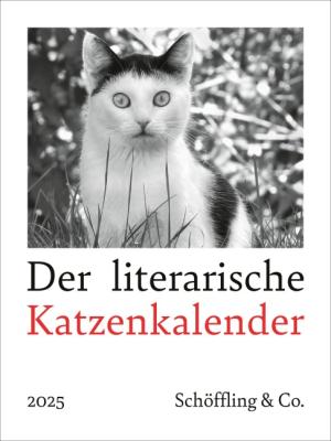 Julia Bachstein: Der literarische Katzenkalender 2025 
