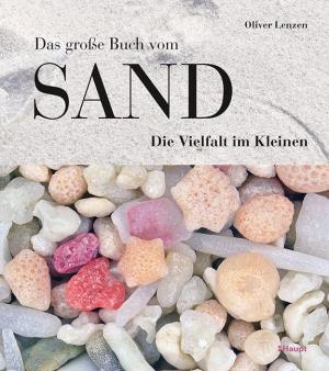 Oliver Lenzen: Das große Buch vom Sand 