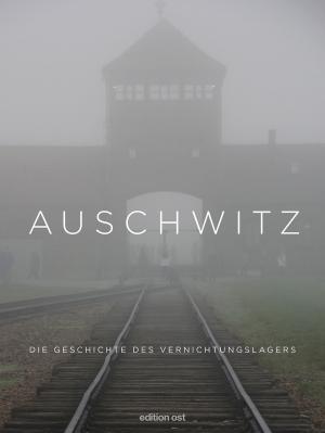 Frank Schumann, Fritz Schumann, Susanne Willems: Auschwitz 