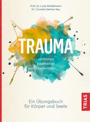 Cornelia Dehner-Rau, Luise Reddemann: Trauma verstehen, bearbeiten, überwinden 