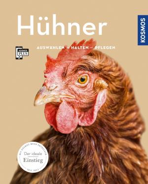Anja Steinkamp: Hühner 