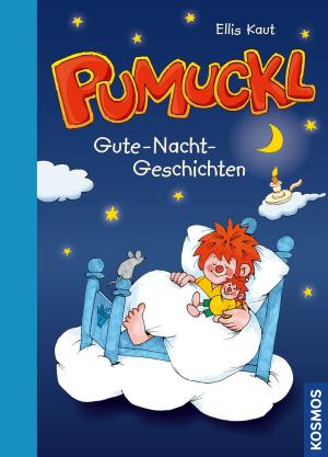 Barbara von Johnson, Ellis Kaut, Uli Leistenschneider: Pumuckl Vorlesebuch - Gute-Nacht-Geschichten 