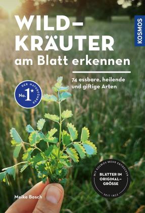Meike Bosch: Wildkräuter am Blatt erkennen 