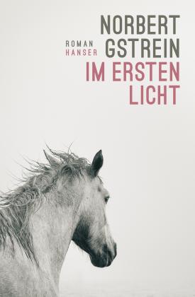 Norbert Gstrein: Im ersten Licht 