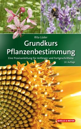 Rita Lüder: Grundkurs Pflanzenbestimmung 