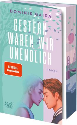 Dominik Gaida: Gestern waren wir unendlich 