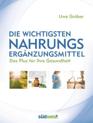 Uwe Gröber: Die wichtigsten Nahrungsergänzungsmittel 