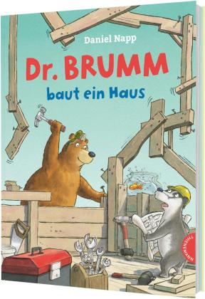 Daniel Napp: Dr. Brumm: Dr. Brumm baut ein Haus 