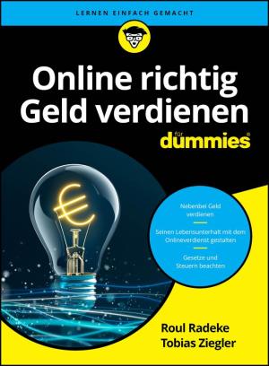 Roul Radeke, Tobias Ziegler: Online richtig Geld verdienen für Dummies 
