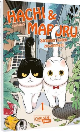 Martin Gericke, Yuri Sonoda: Hachi & Maruru – Streuner halten zusammen! 1 