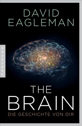 David Eagleman: The Brain 
