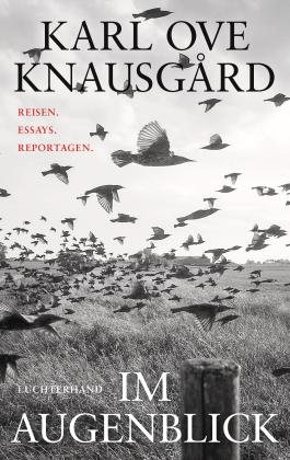 Paul Berf, Karl Ove Knausgård: Im Augenblick 