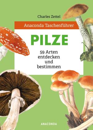 Charles Zettel, Theodor Svarc: Anaconda Taschenführer Pilze. 59 Arten entdecken und bestimmen 