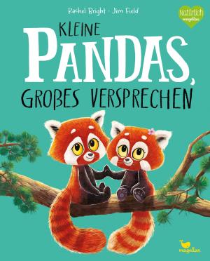 Rachel Bright, Jim Field: Kleine Pandas, großes Versprechen 