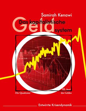 Samirah Kenawi: Das kapitalistische Geldsystem 