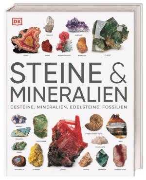 Karin Koch, DK Verlag, Ronald L. Bonewitz, Stephan Matthiesen: Steine & Mineralien 