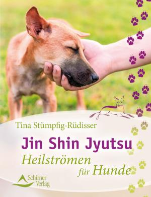 Tina Stümpfig-Rüdisser: Jin Shin Jyutsu 