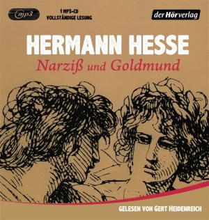 Gert Heidenreich, Hermann Hesse: Narziß und Goldmund 