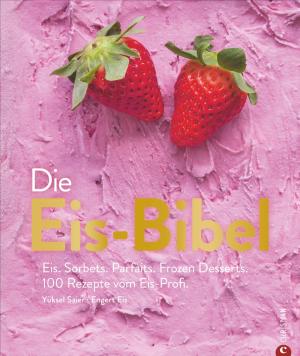Yüksel Saier: Die Eis-Bibel 
