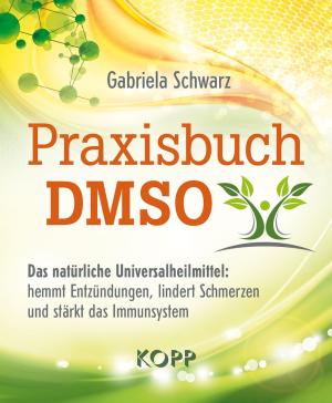 Gabriela Schwarz: Praxisbuch DMSO 