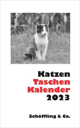 Julia Bachstein: Katzen Taschenkalender 2023 