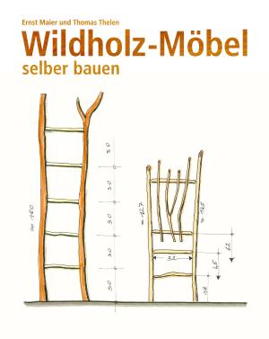 Ernst Maier, Thomas Thelen: Wildholz-Möbel selber bauen 