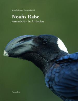 Torsten Pröhl, Kai Gedeon: Noahs Rabe 
