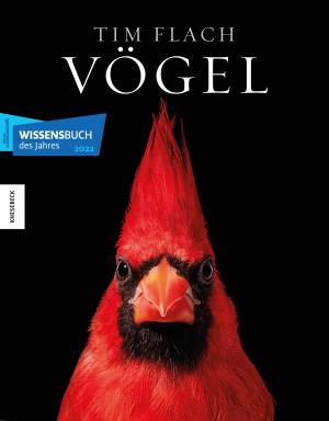 Tim Flach: Vögel 