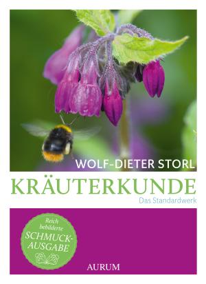 Wolf-Dieter Storl: Kräuterkunde 