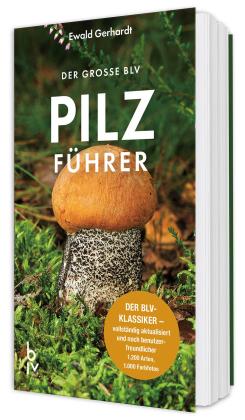 Ewald Gerhardt: Der große BLV Pilzführer 