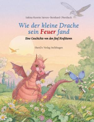 Sakina Kerstin Sievers, Bernhard Oberdieck: Wie der kleine Drache sein Feuer fand 