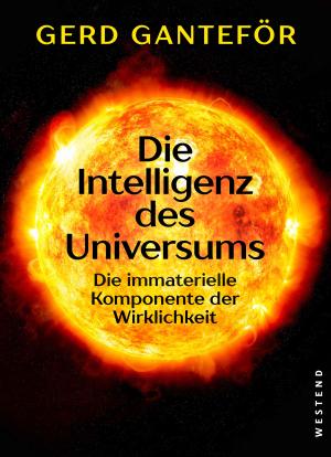Gerd Ganteför: Die Intelligenz des Universums 