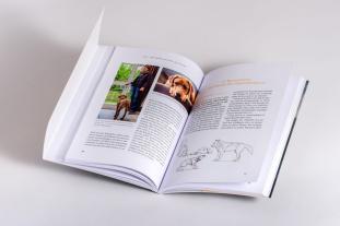 Nicole Brinkmann: Nähe und Distanz in der Hundeerziehung 