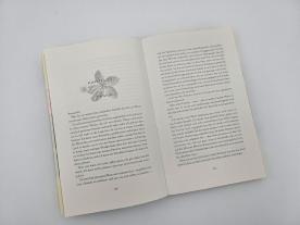 Christina Kagerer, Christina Lauren: The Paradise Problem – Wenn das Herz den perfekten Plan durchkreuzt 